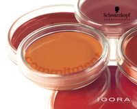 Schwarzkopf Igora